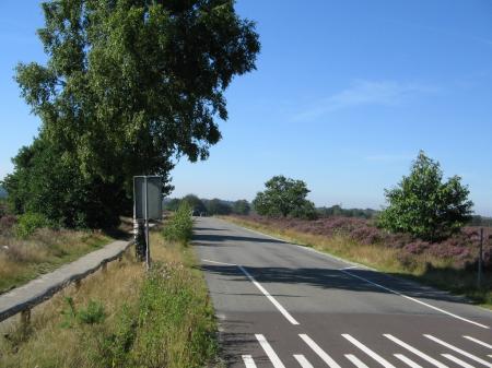 mk s    weeki  uit :D