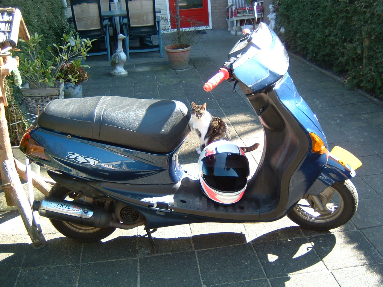 te koop 