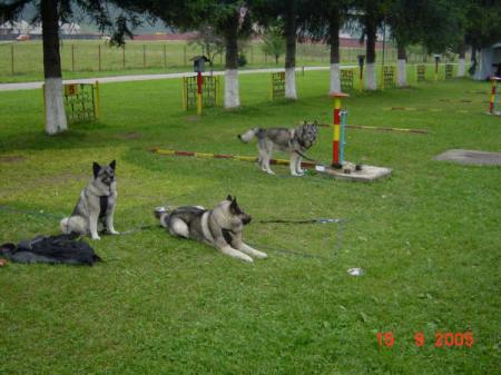 Roemenië,23 augustus -24 september 2005