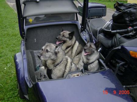 Roemenië,23 augustus -24 september 2005