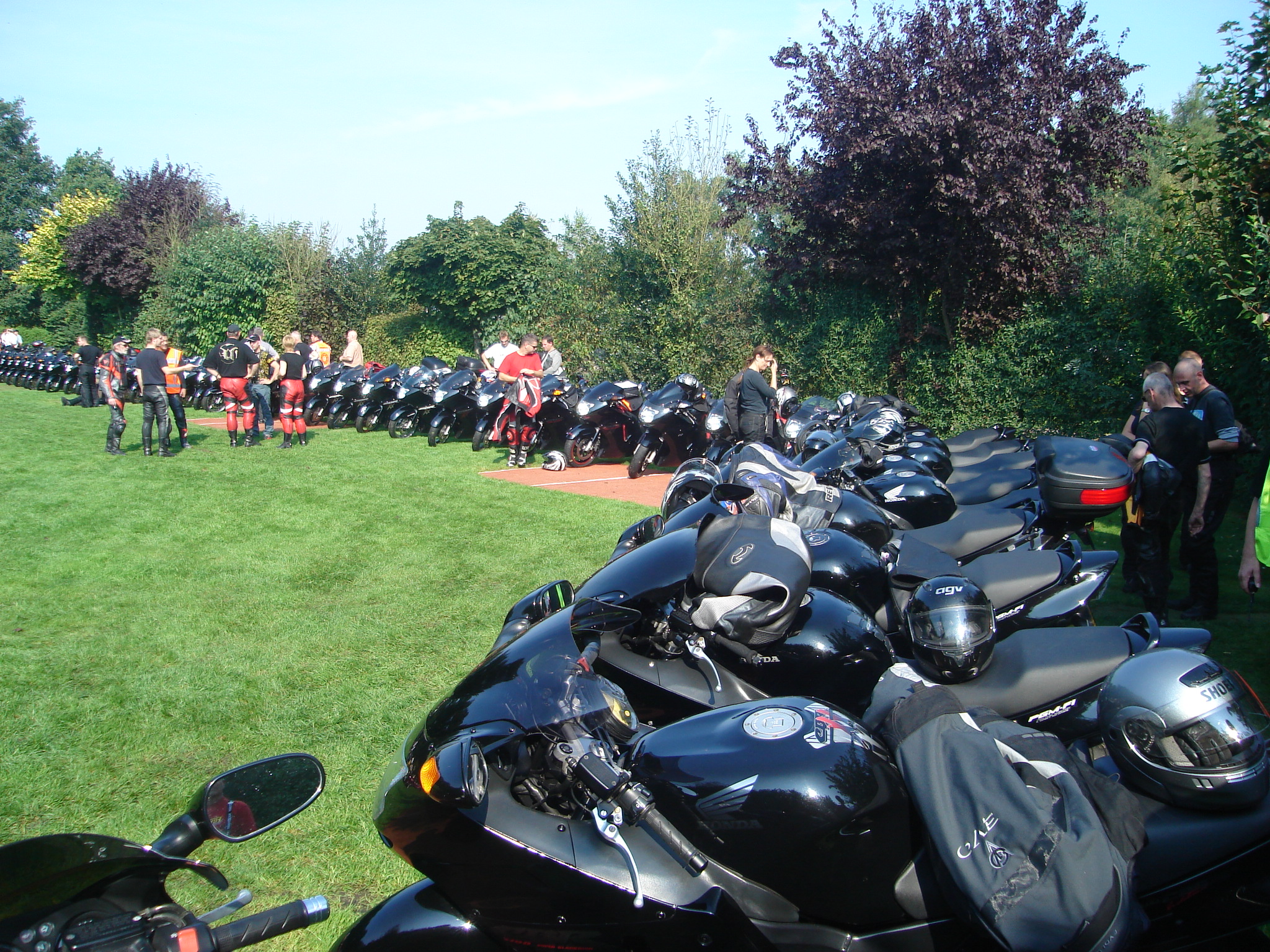 Uitdaging: 100 Blackbirds op een rij