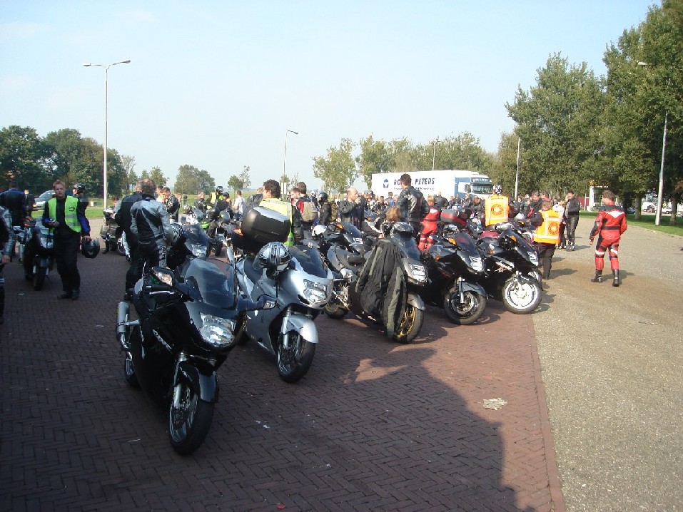 Uitdaging: 100 Blackbirds op een rij