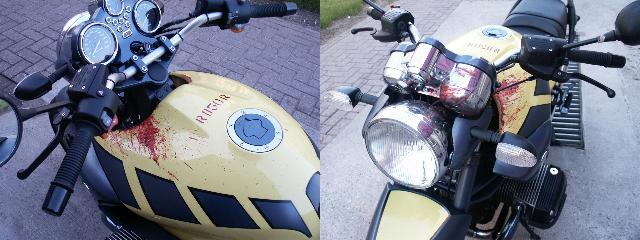 Motorrijder overlijdt na botsing eend