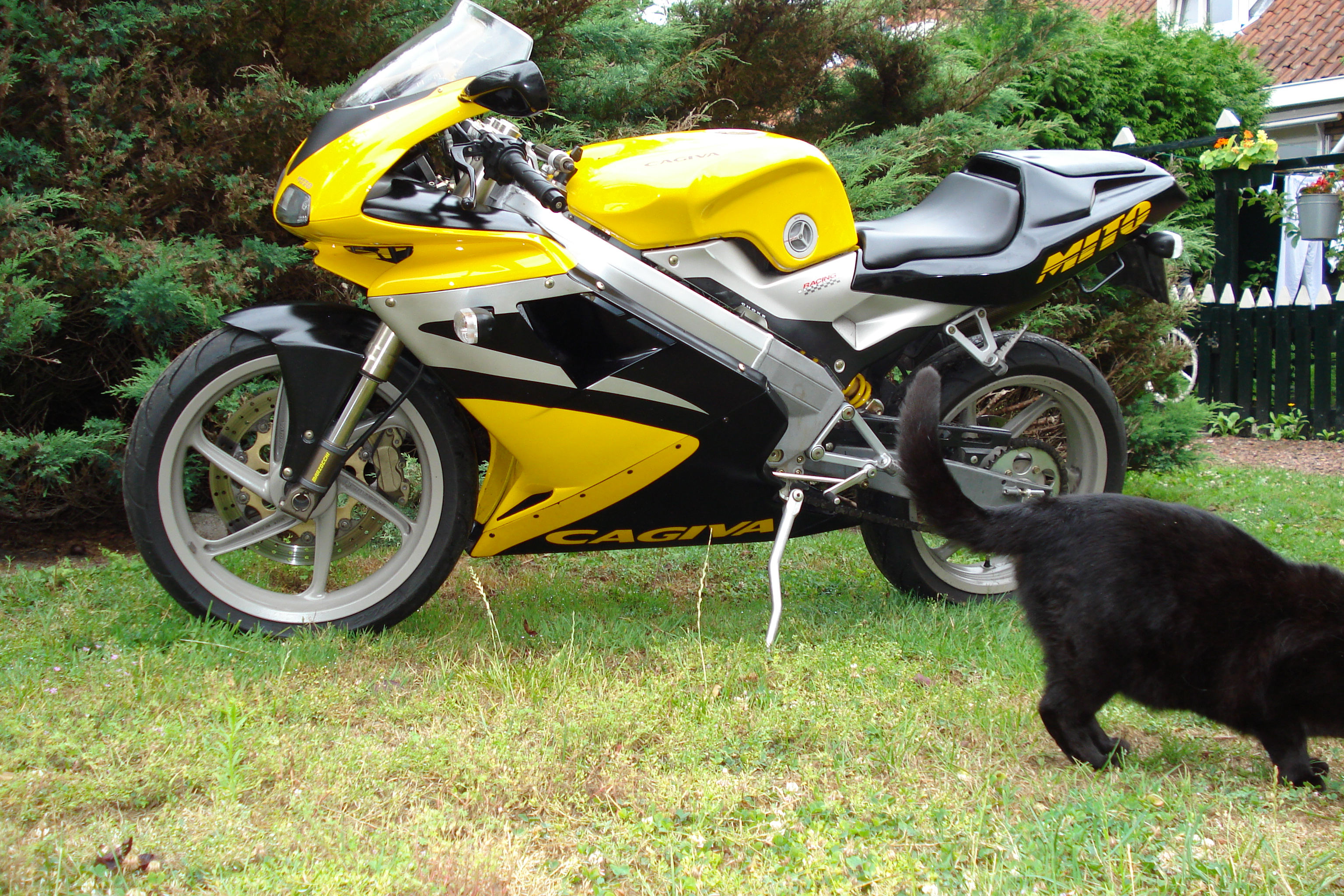 Te koop: Cagiva mito