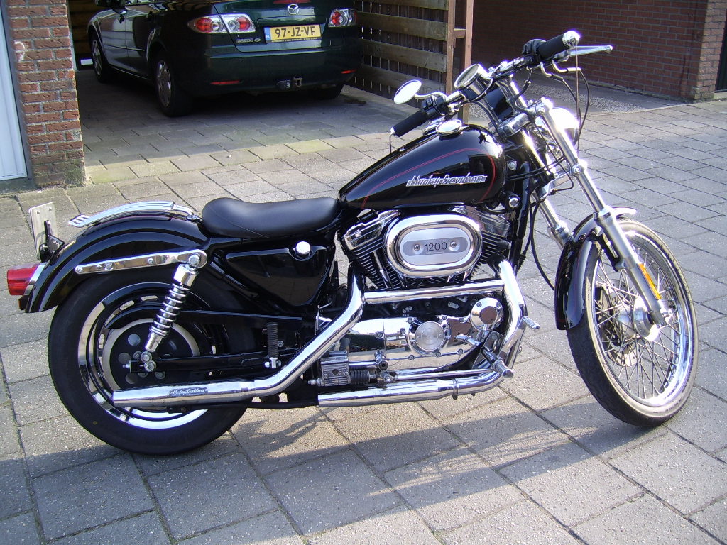 Te koop: Harley Davidson sportster custom 1200 