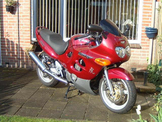 Nieuwe foto van mijn Slagroomsoes!