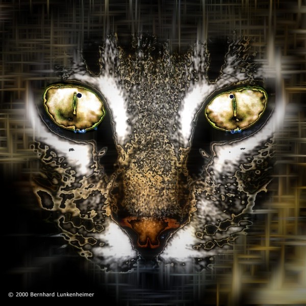 Gezelschap gezocht op weg naar TT (zaterdag 28)