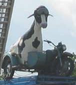 Nürburgringliefhebber??