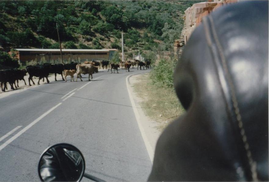 Mooiste Vakantie foto