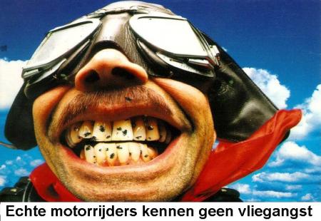 Waarom die bijnaam?