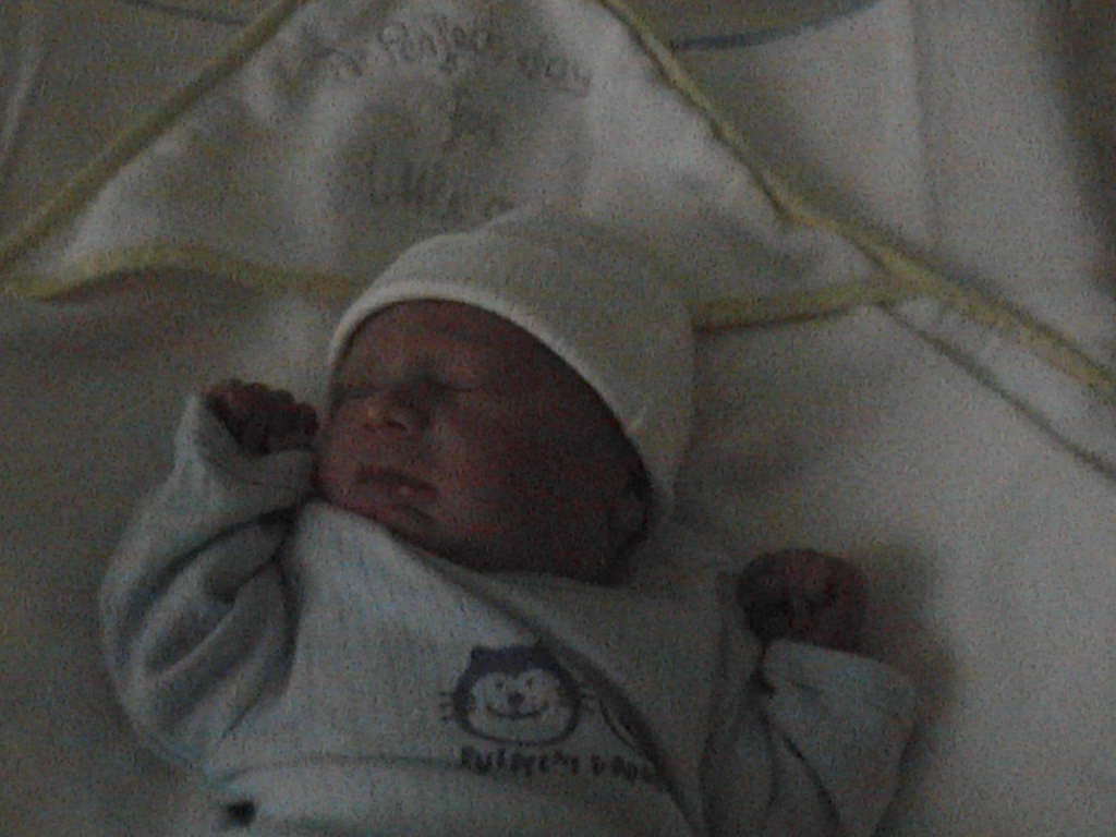 A new life is born !   