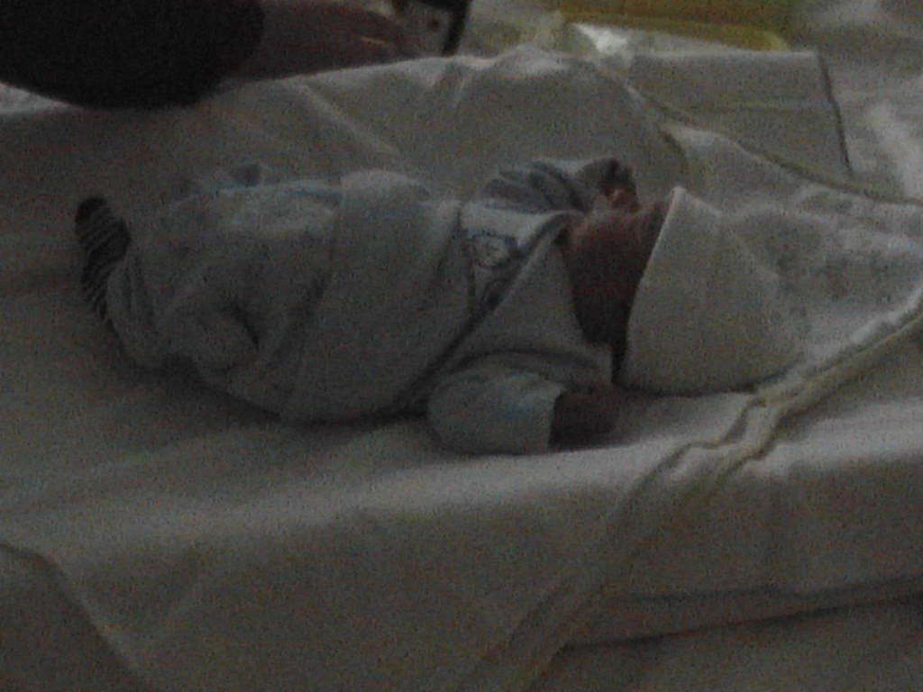 A new life is born !   