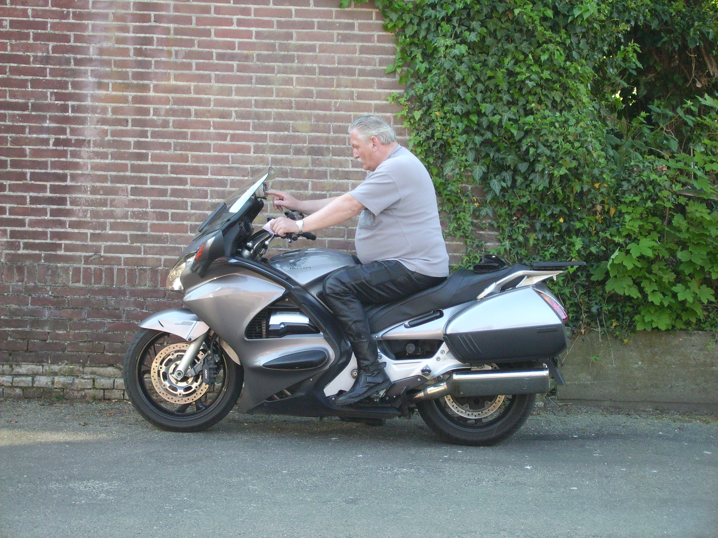 motormuizen