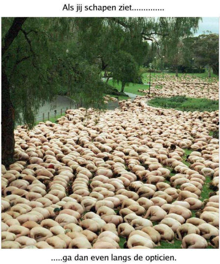 RichM5 Aandachtsfilter en aandachtsblindheid. Conclusies uit artikelen. Vuur is Oranje is gevaar.