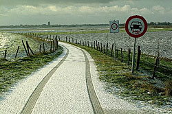 Motorrijders eenzaam??
