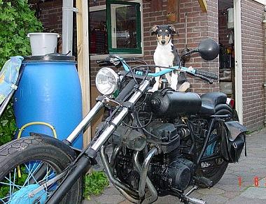 pekelfiets